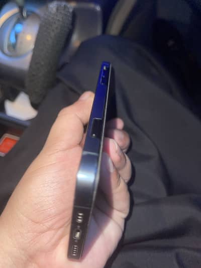12 promax pta 256 gb