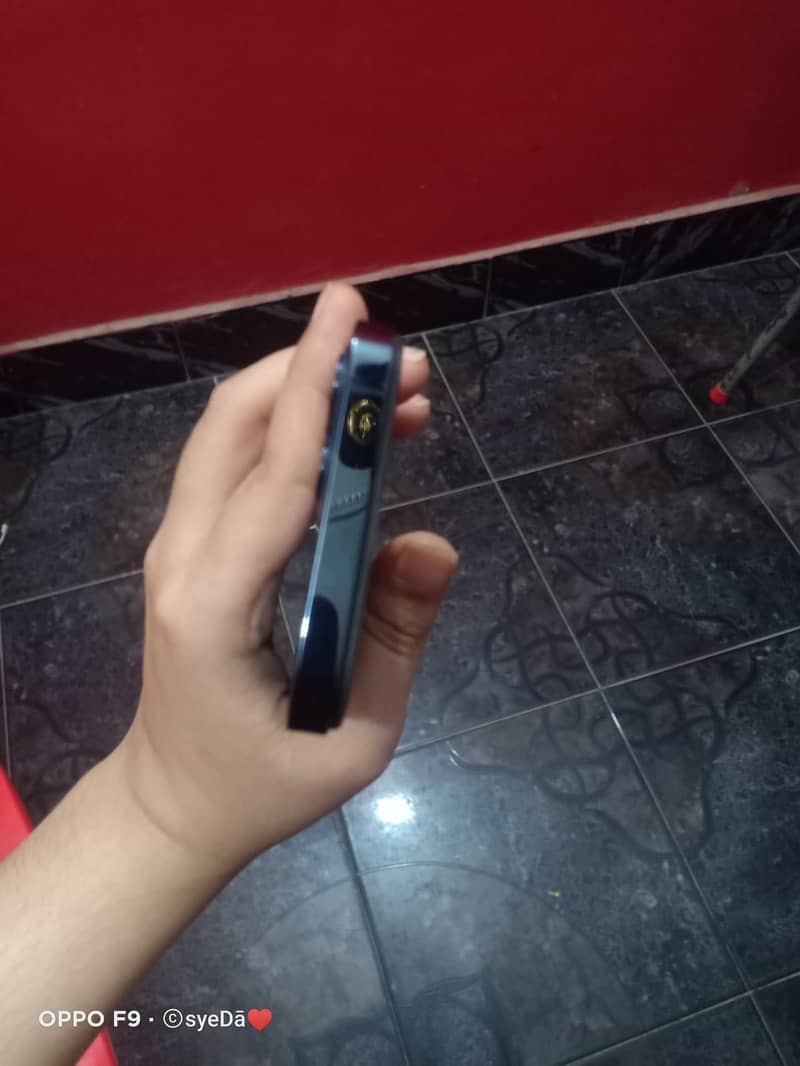 12pro 6
