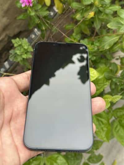 iPhone 13 pta 256 gb