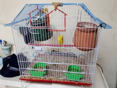 PARROTS