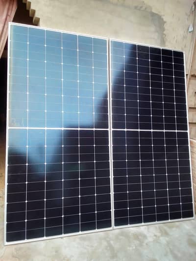 Longi solar panels
