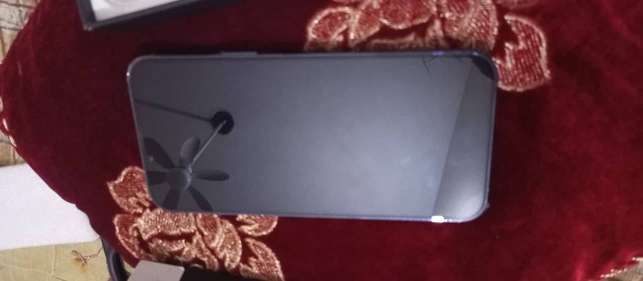 Apple iPhone 13 Pro Max 1