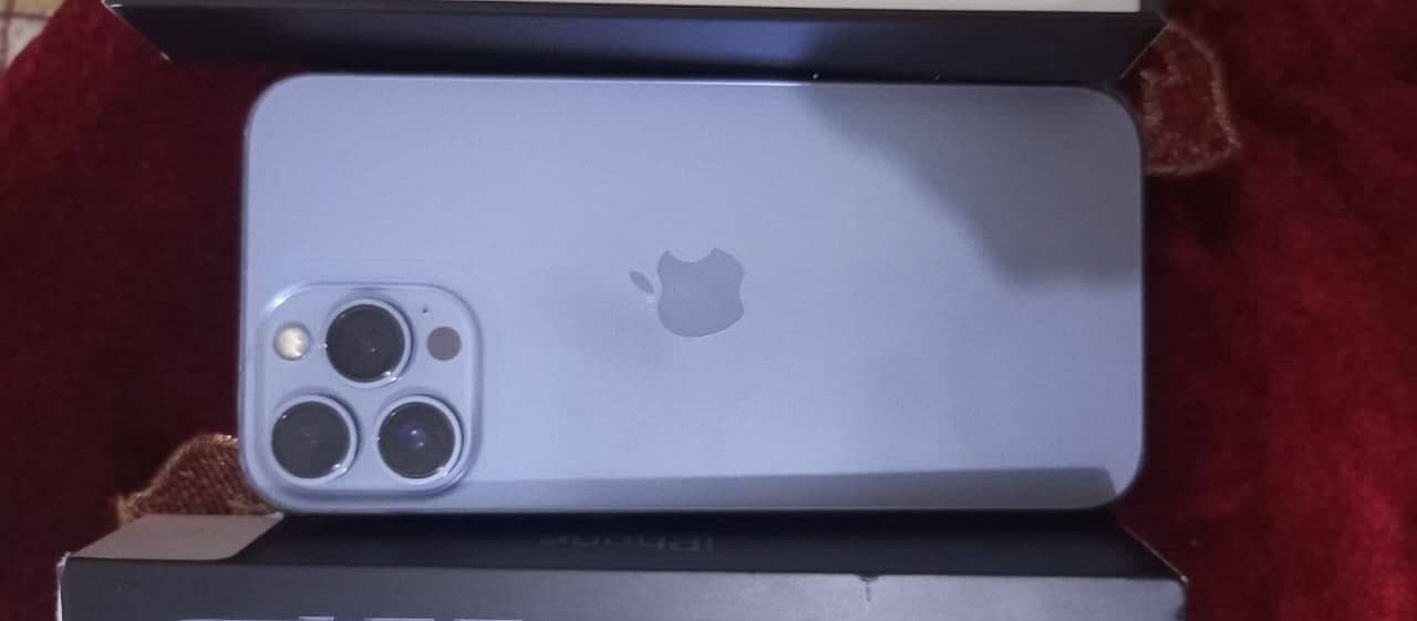 Apple iPhone 13 Pro Max 2