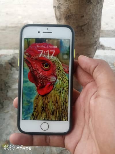 Apple iPhone 8 Jv 64 gb non pta All ok  Best camera 4k
