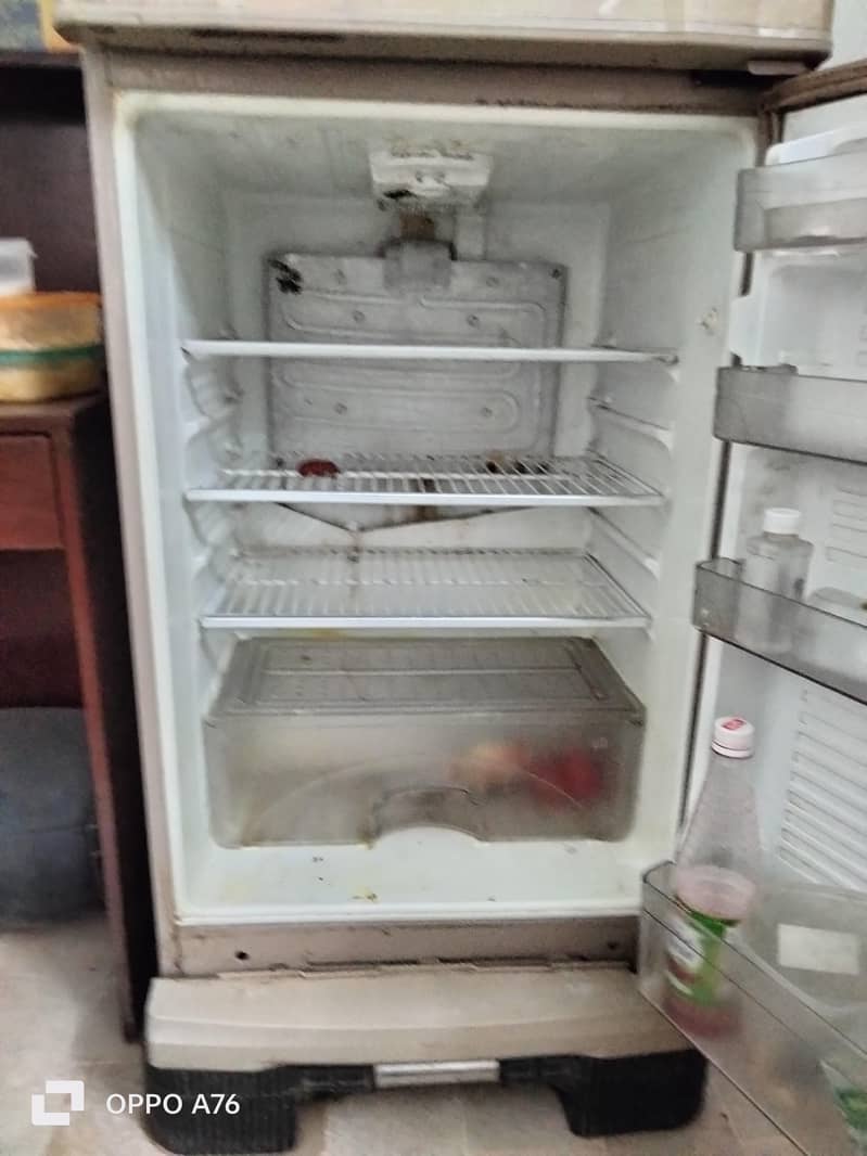 fridge 2