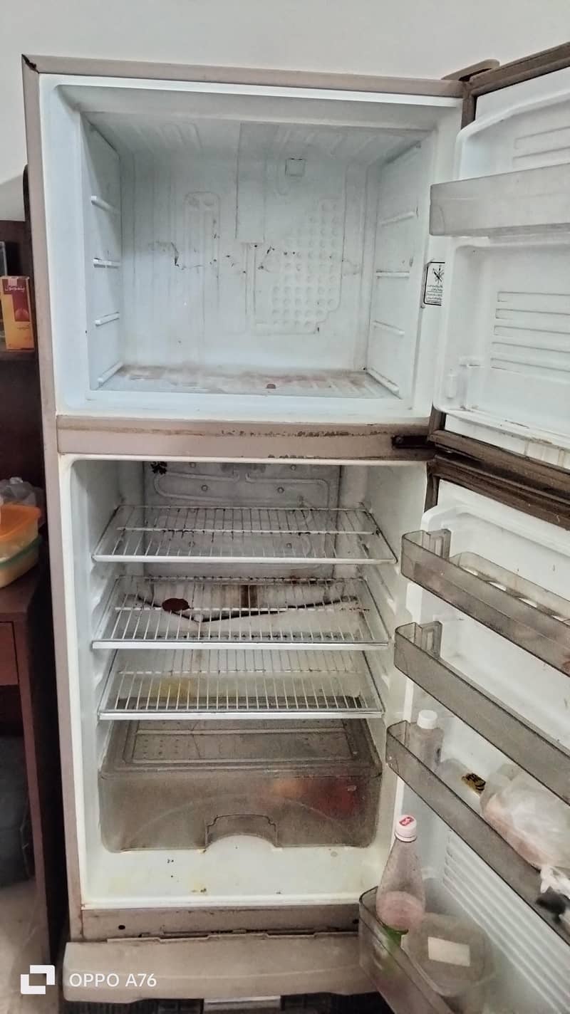 fridge 4