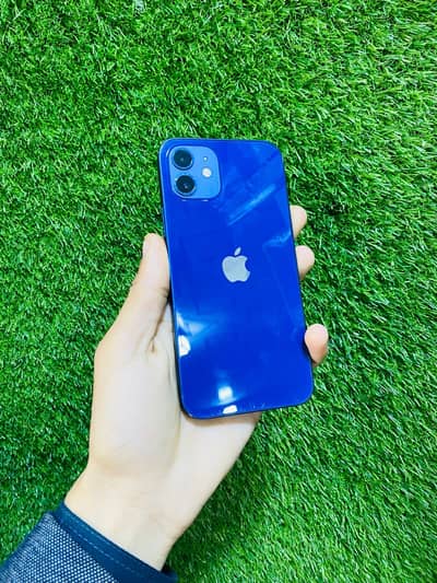 Apple iPhone 12