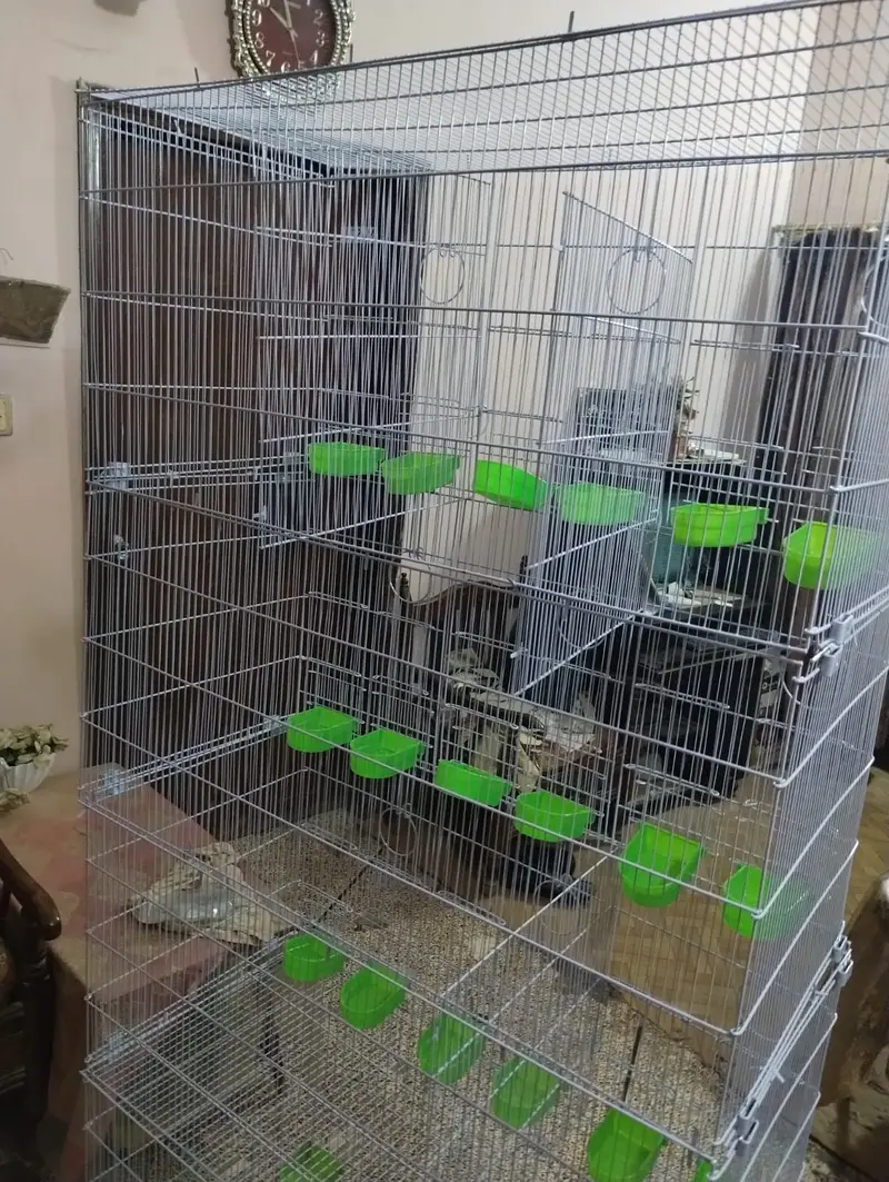 Brand New Sarib & Master 12 Portions Folding Cage — photo 6