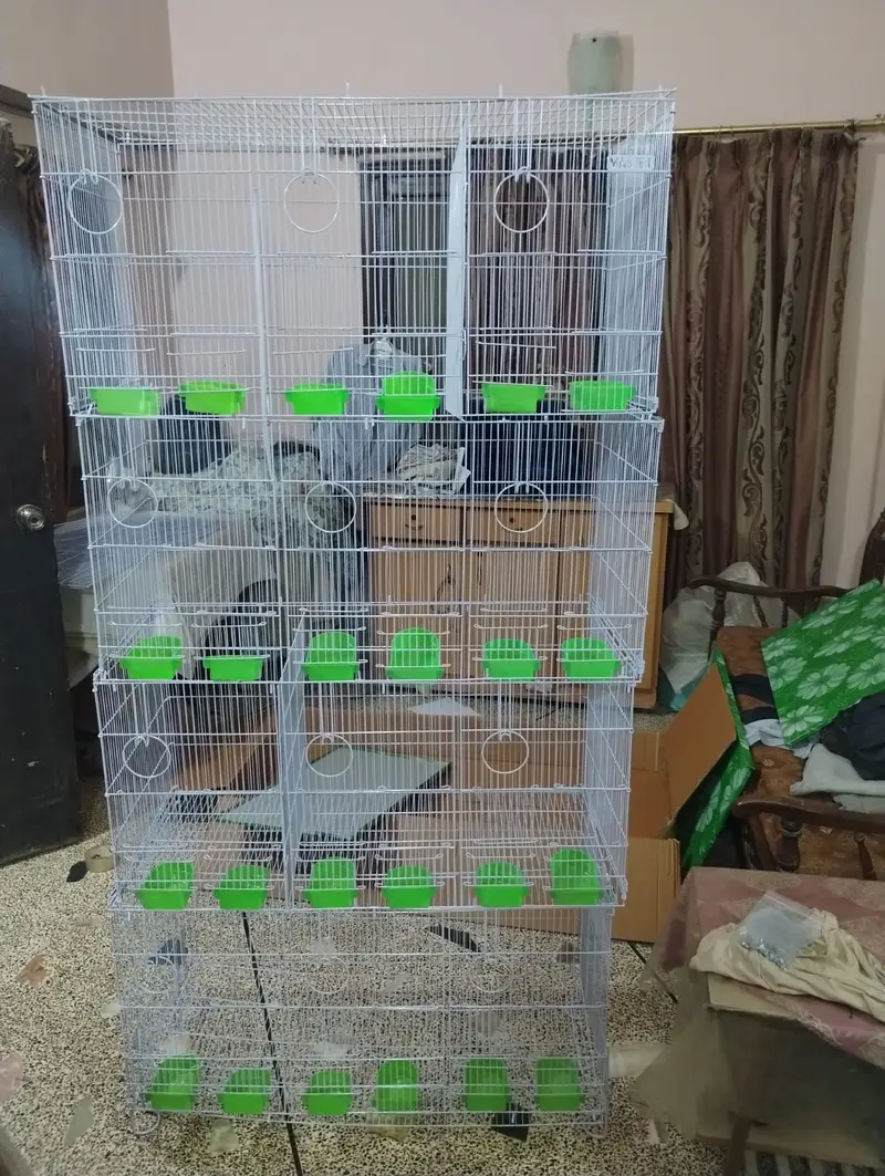 Brand New Sarib & Master 12 Portions Folding Cage — photo 7