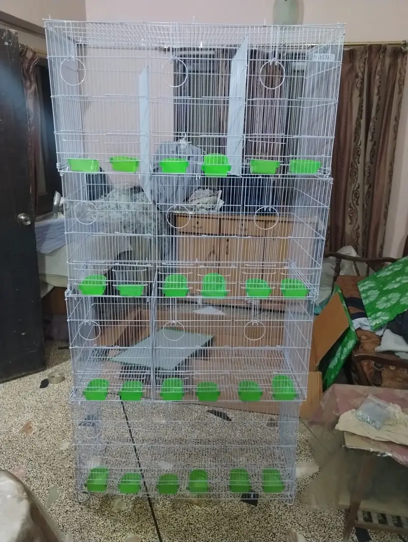 Brand New Sarib & Master 12 Portions Folding Cage — photo 8
