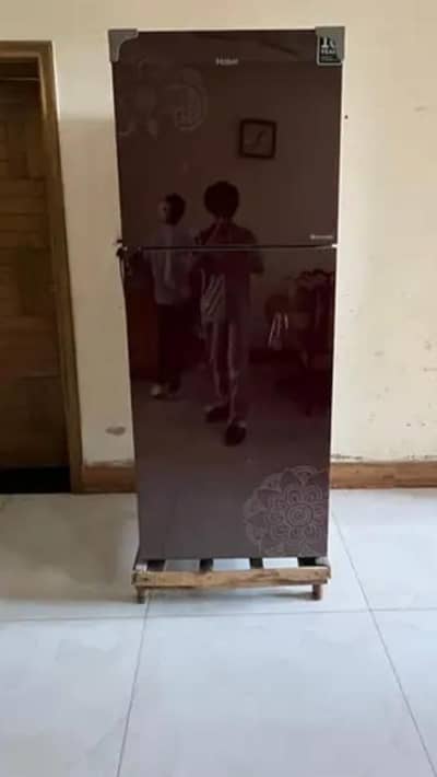 Hair Refrigerator Tourbo Cooling