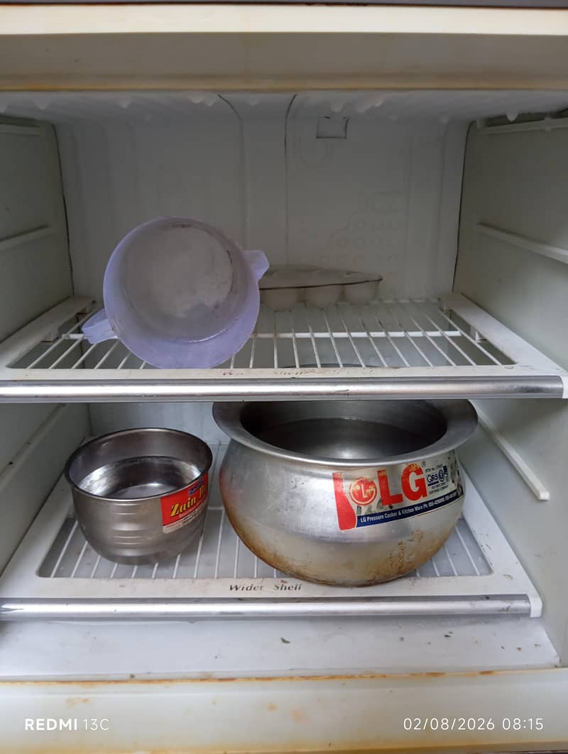 Medium Size Fridge 1
