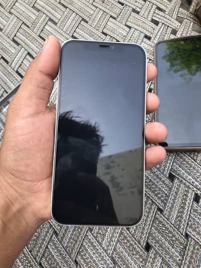 iphone 12 pro