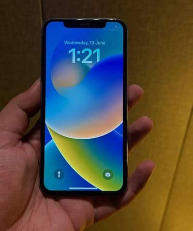 Apple iPhone X