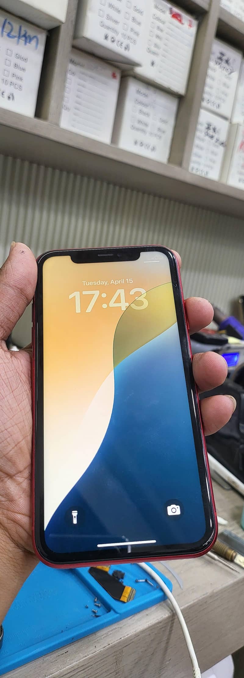 Apple iPhone 11 2