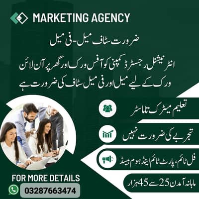 need staff for both online or office based job