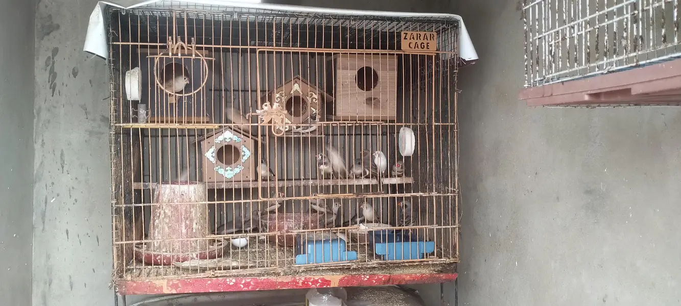 Cage for sale — photo 3