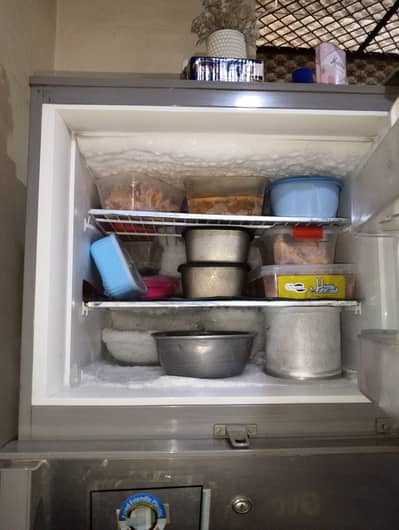 PEL refrigerator best condition