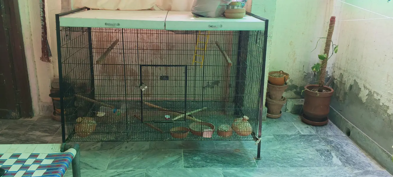 Parrot Cage_Hen Cage/ Birds Cage_Pinjra / Dog Cage — photo 3