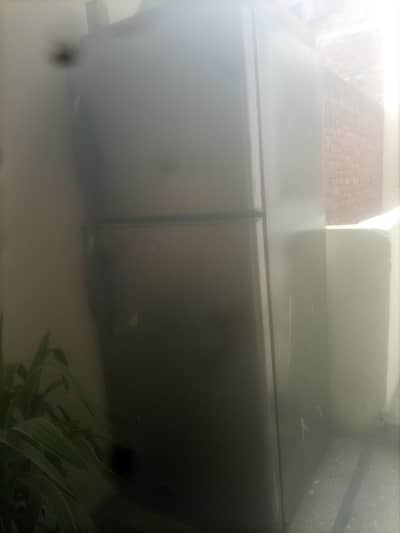 hair rafrigrater for sale