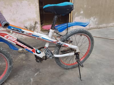 China cycle