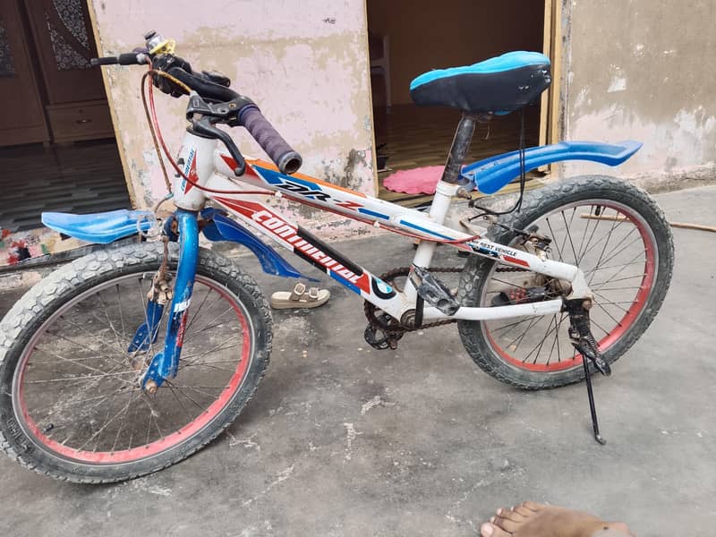 China cycle 1