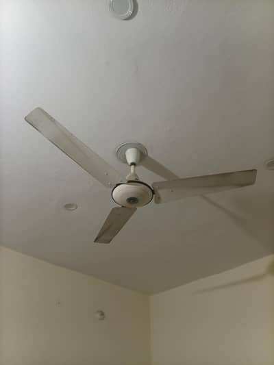 punjab fan coper wire and 2 fan price 10000  model 2014