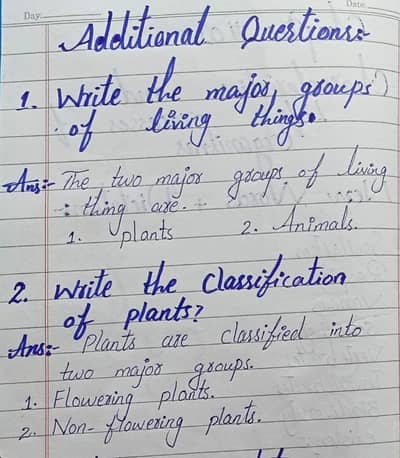 assignment writing