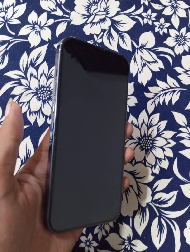 Apple iPhone 13 Pro Max 0