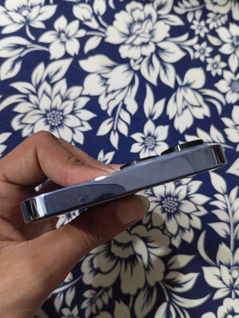 Apple iPhone 13 Pro Max 2