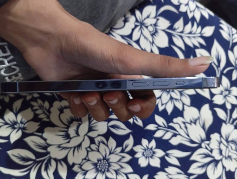 Apple iPhone 13 Pro Max 3