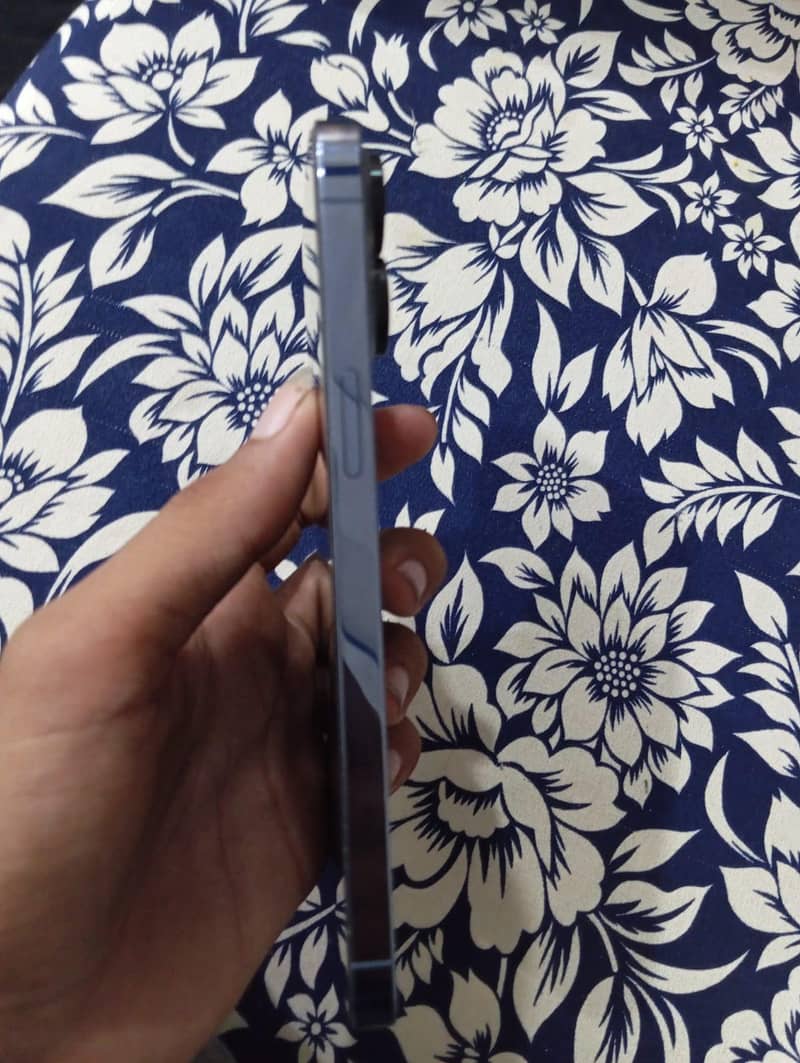 Apple iPhone 13 Pro Max 5
