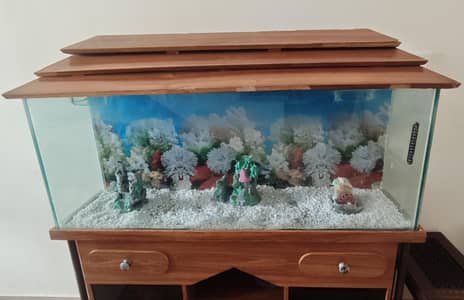 Aquarium With Stand and Accessories