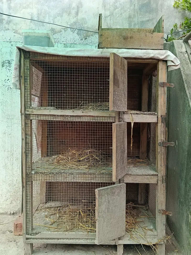 3 portion mazboot lakri ka cage