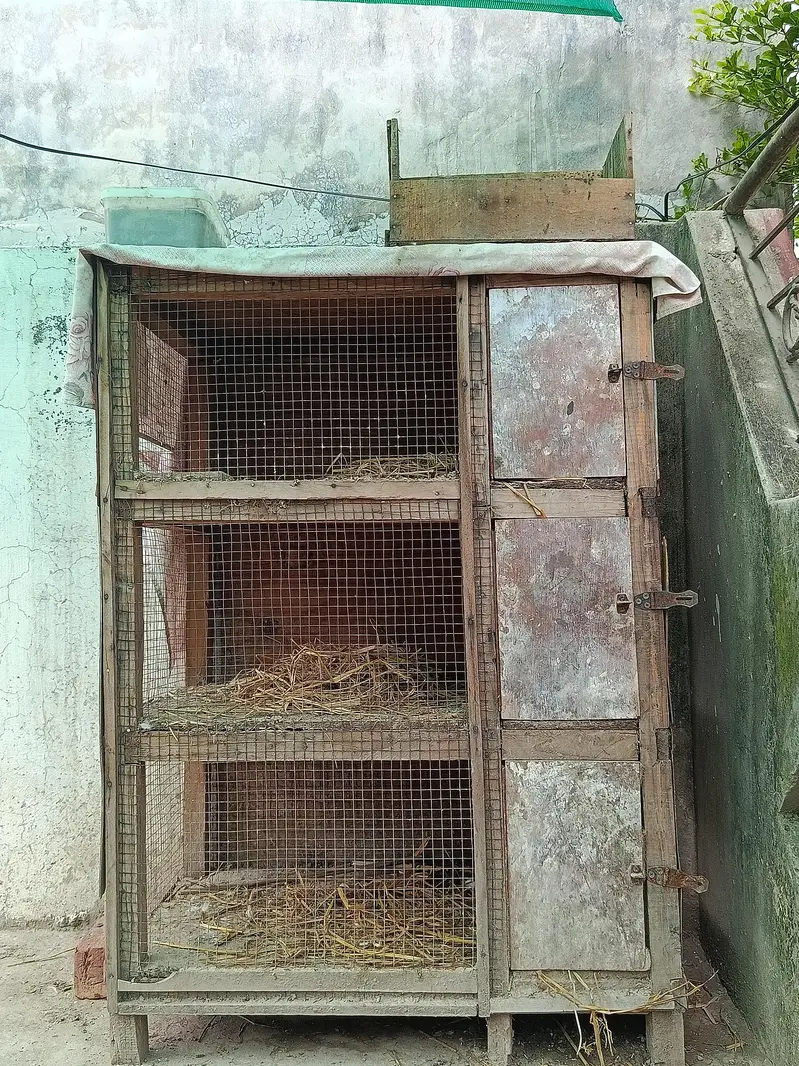 3 portion mazboot lakri ka cage — photo 2