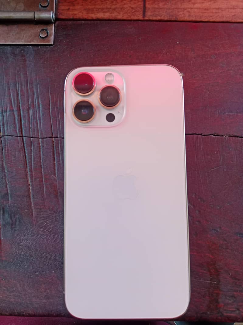 Apple iPhone 13 Pro Max 0