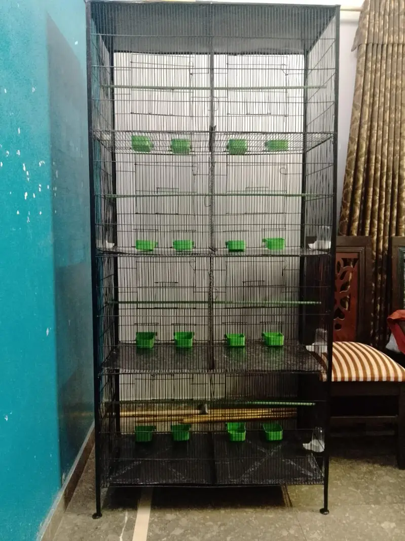 Parrot cage