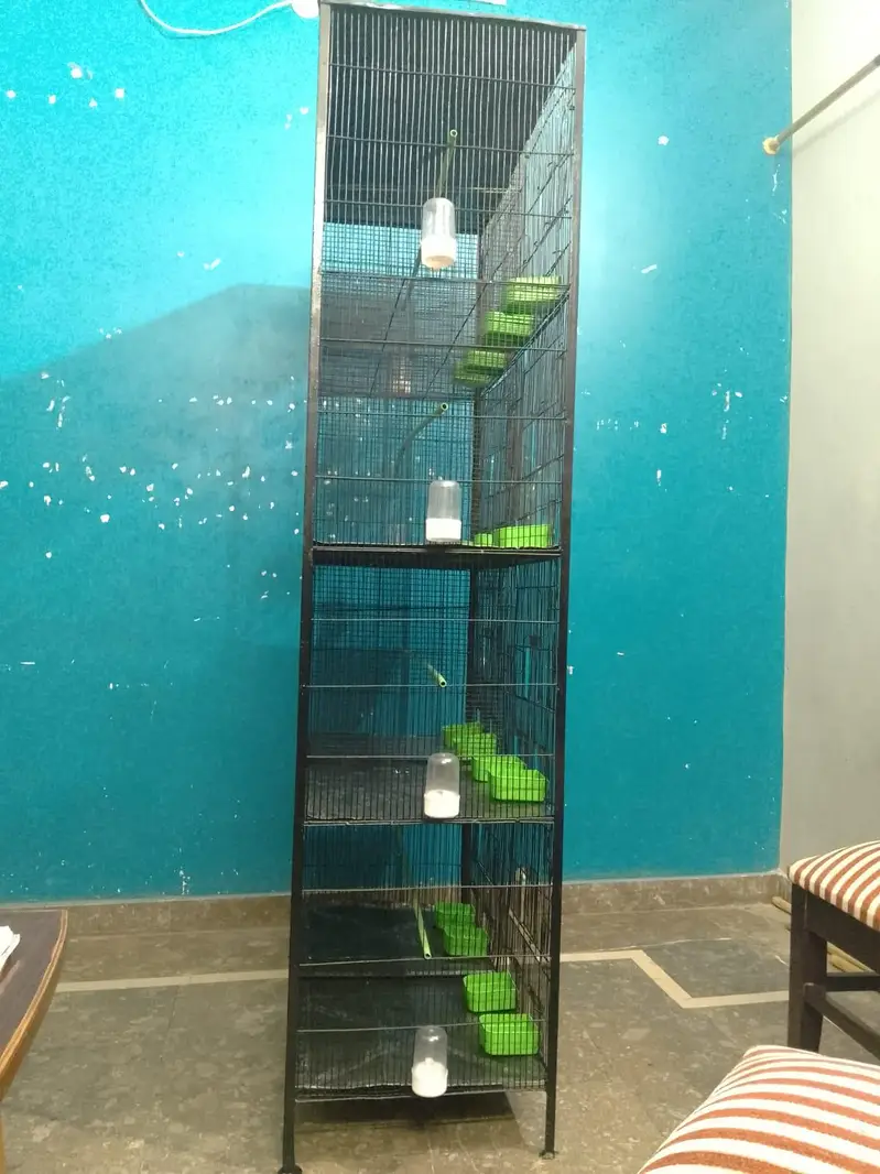 Parrot cage — photo 2