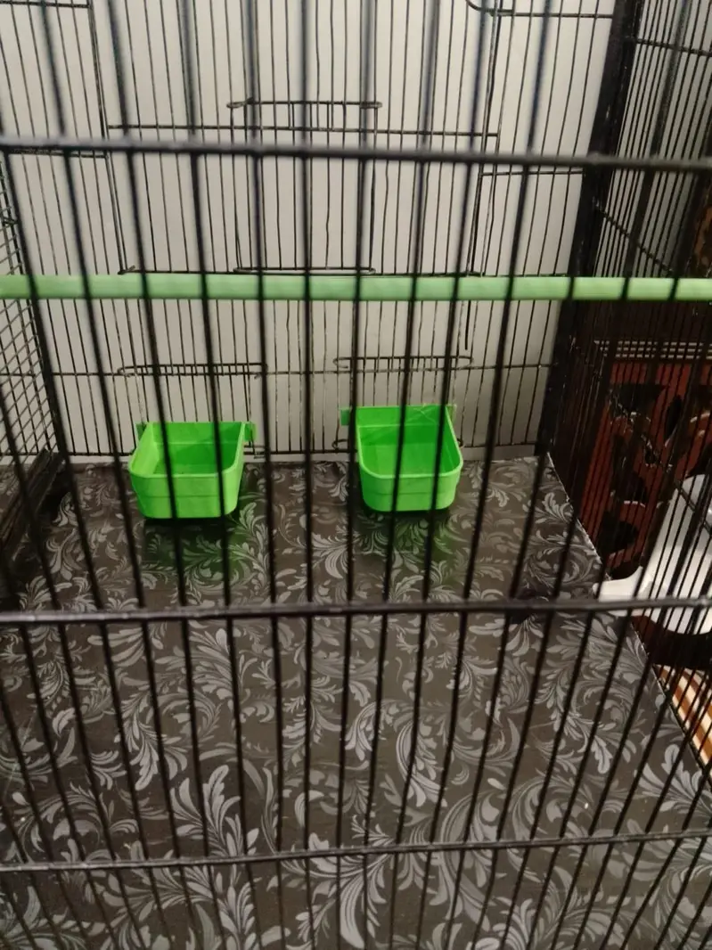 Parrot cage — photo 4