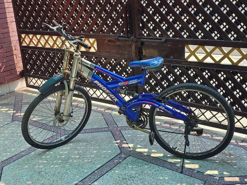 Phoenix Blue Spring Cycle 0