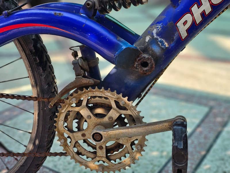 Phoenix Blue Spring Cycle 3