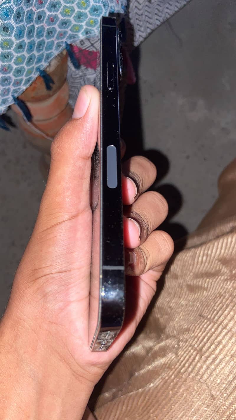 iPhone 13 Pro Max 2