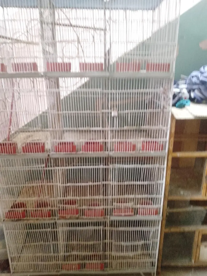 Cages