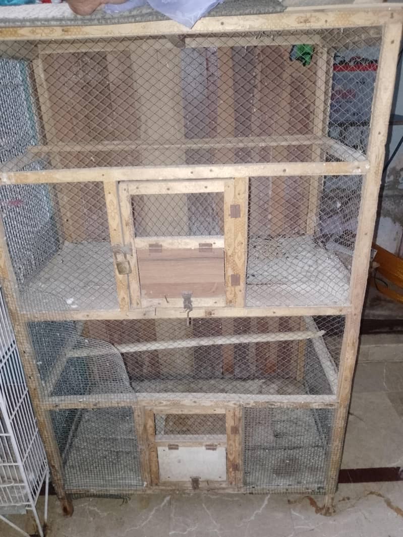 Cages 1