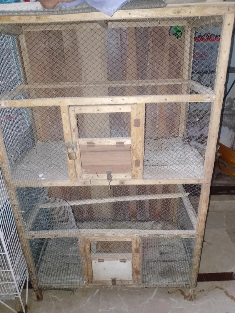 Cages — photo 2