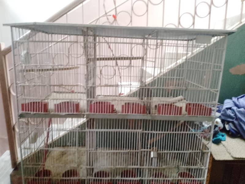 Cages 2