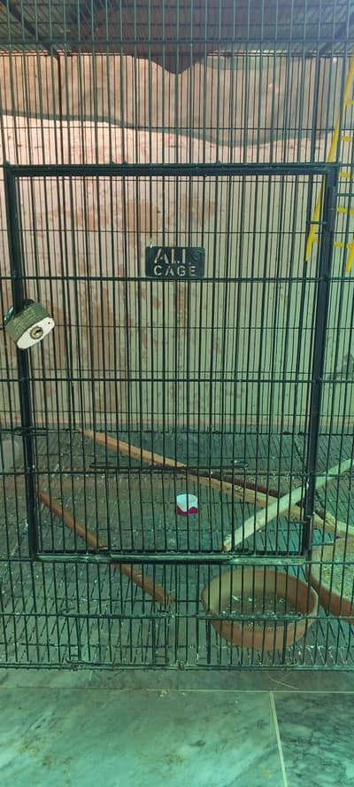 Cage for Parrots_Hens/ cage for cats and dogs/ Cages for Rabbits
