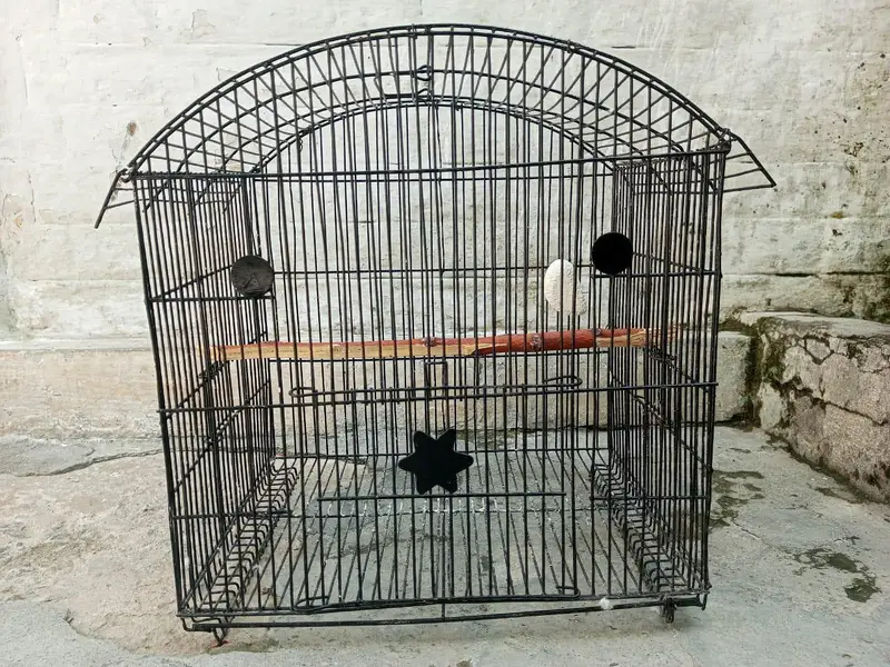 Cage for sale