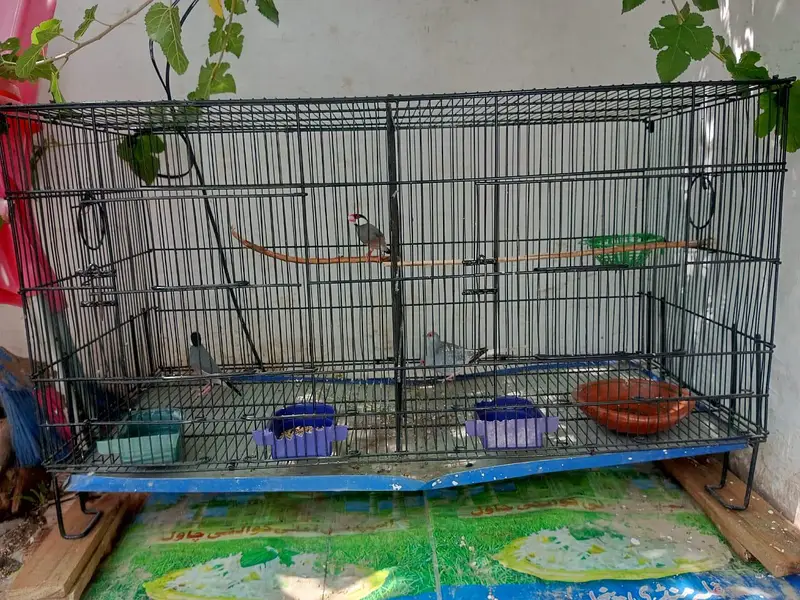 Cage for sale — photo 2