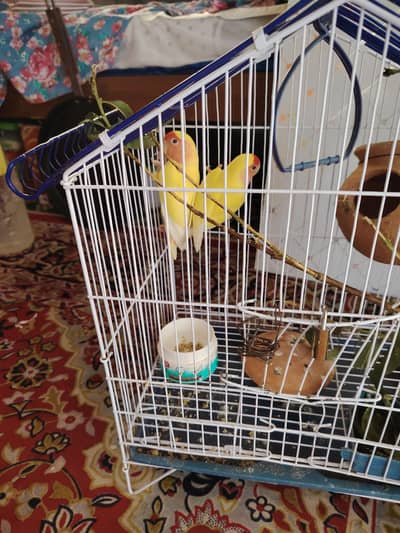 for sale